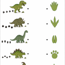 Dinosaur footprint matching activity where children connect each dinosaur to the correct footprint by observing the tracks left behind.